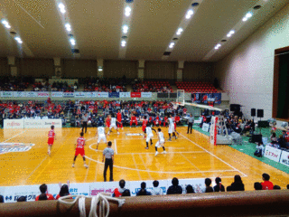 12.gif