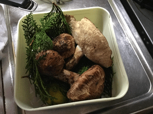 IMG_3974.gif