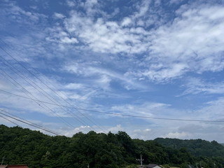 IMG_5916.jpg