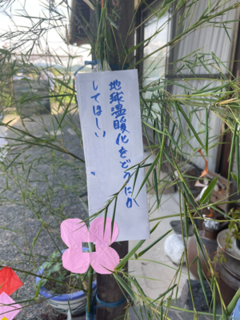 IMG_6238-Photoroom.png