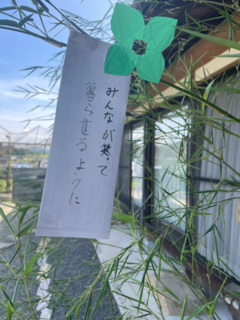 IMG_6239-Photoroom.png